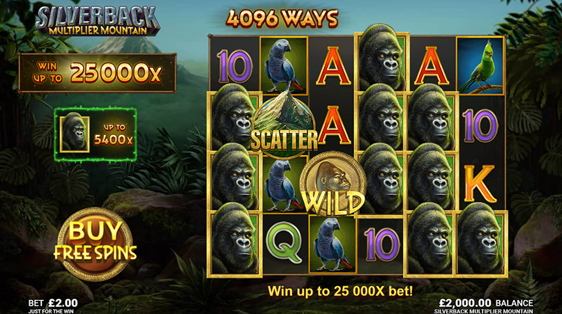 Silverback Multiplier Mountain Slot fun88 หม น สล อต 1