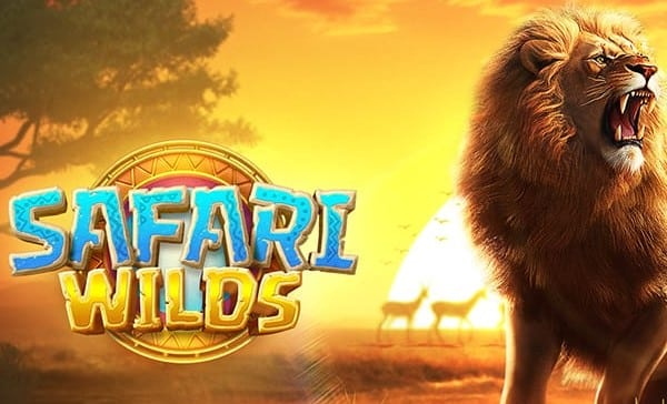 Safari-Wilds